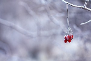 小雪又嫩又紧的